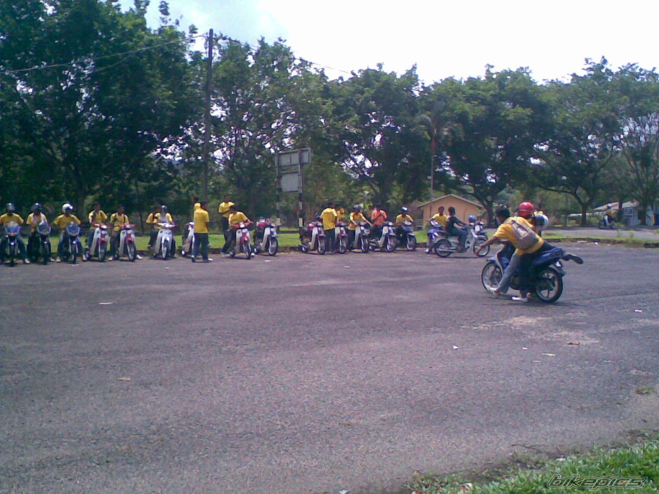 Photo 1306613