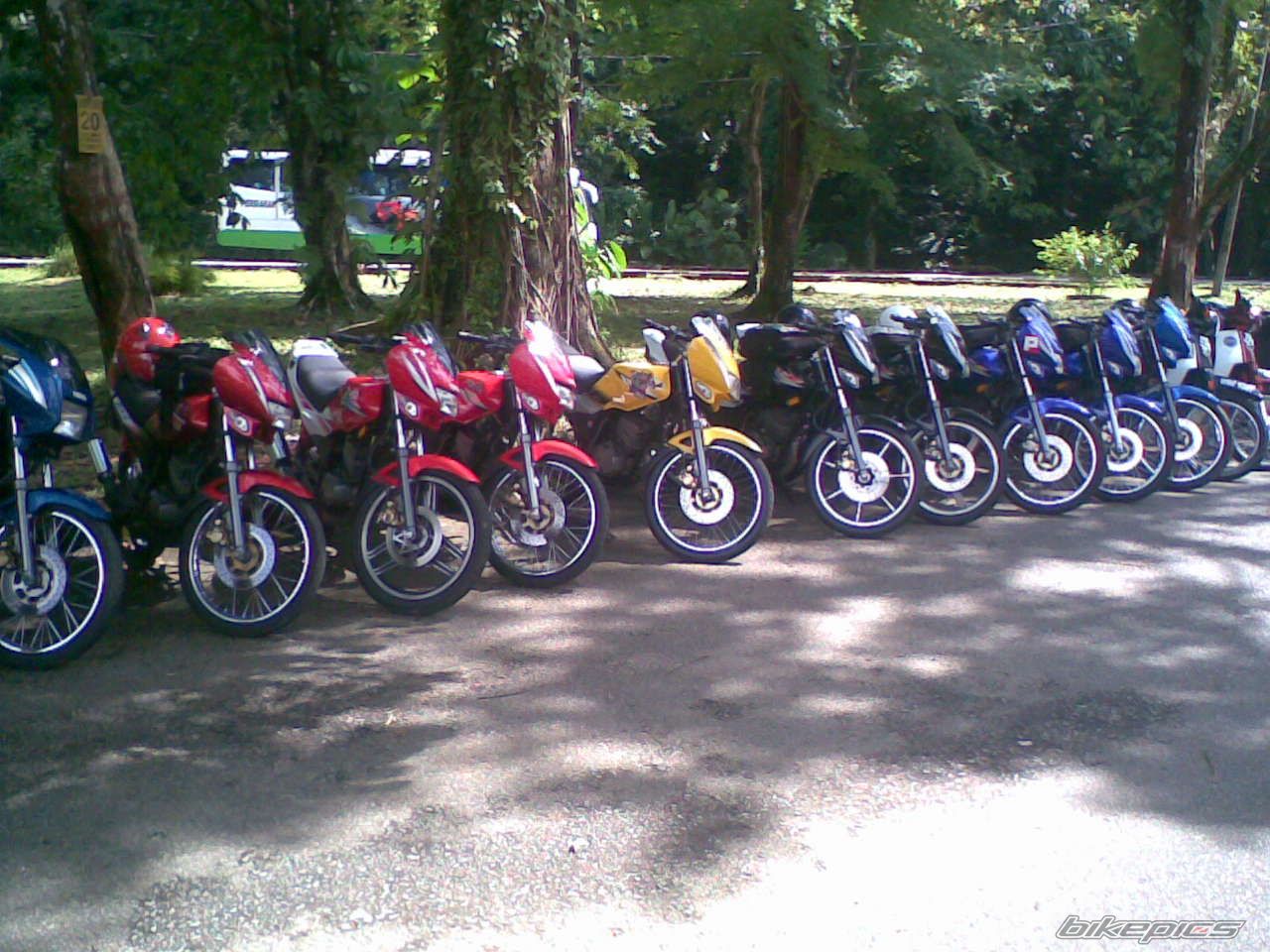Photo 1306638