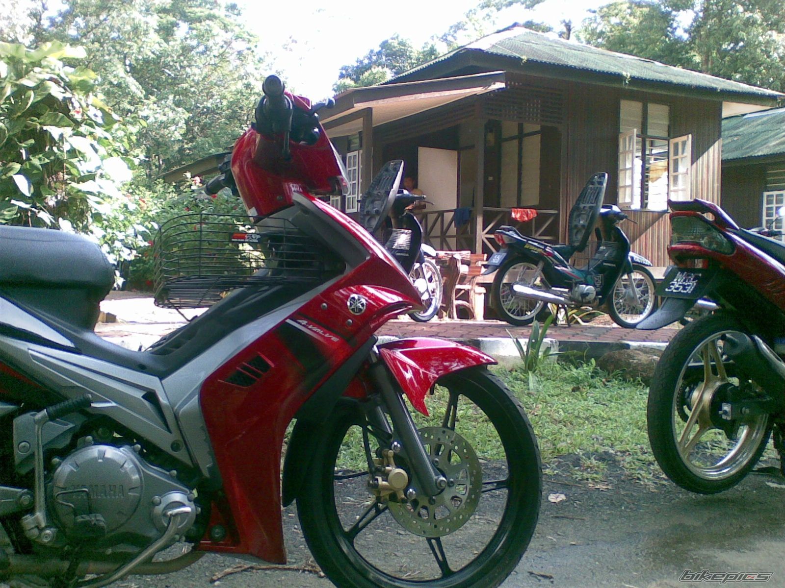Photo 1306650