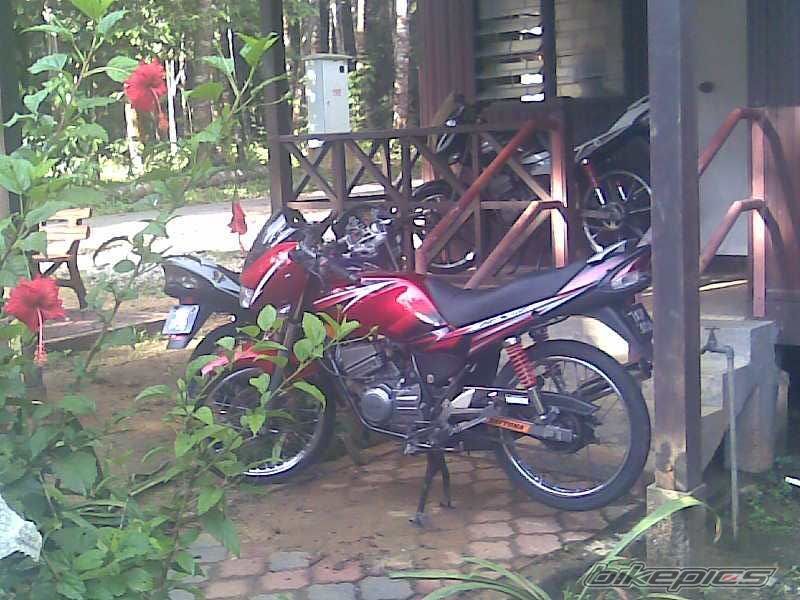 Photo 1306680