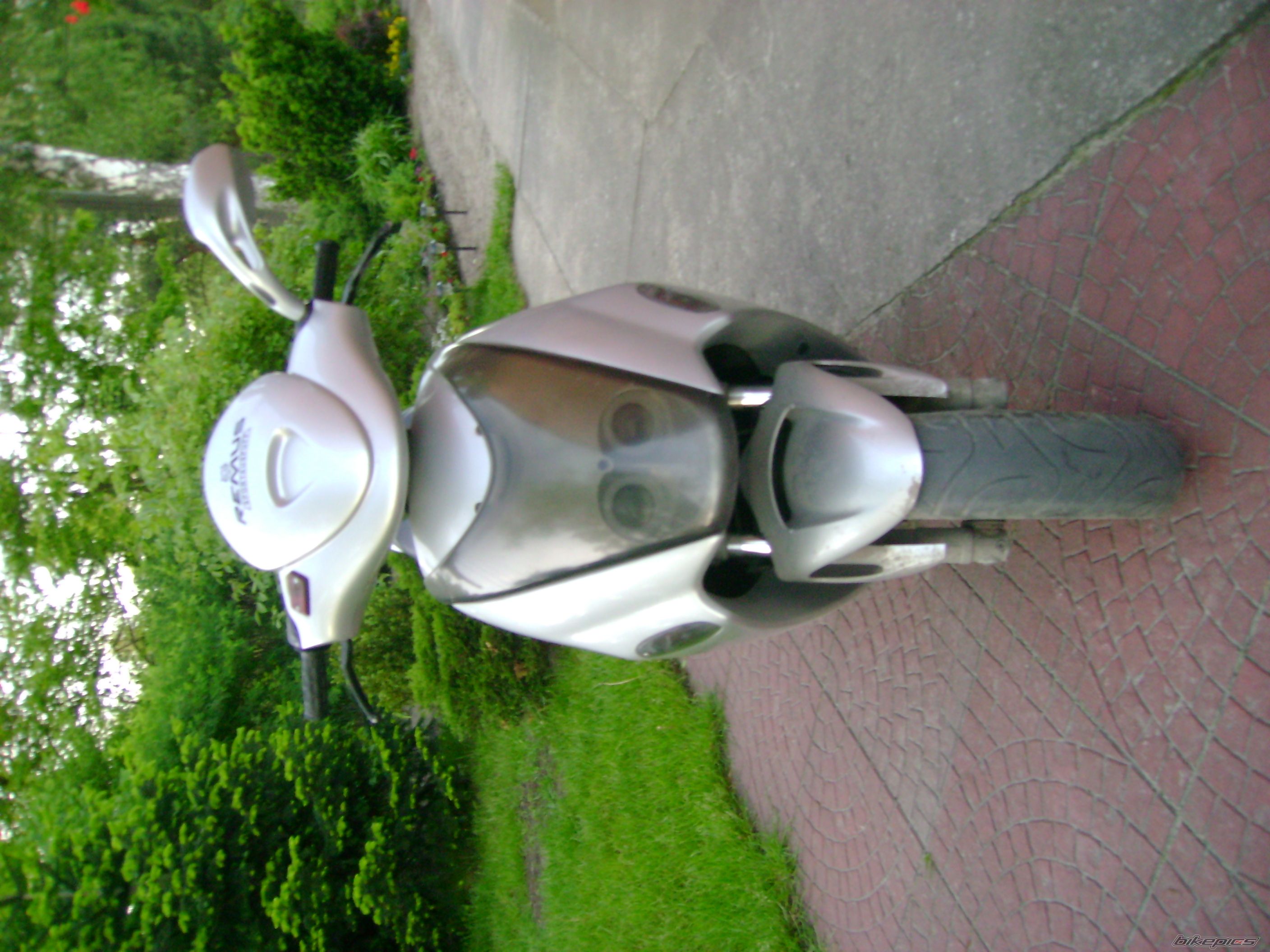 Photo 1306733