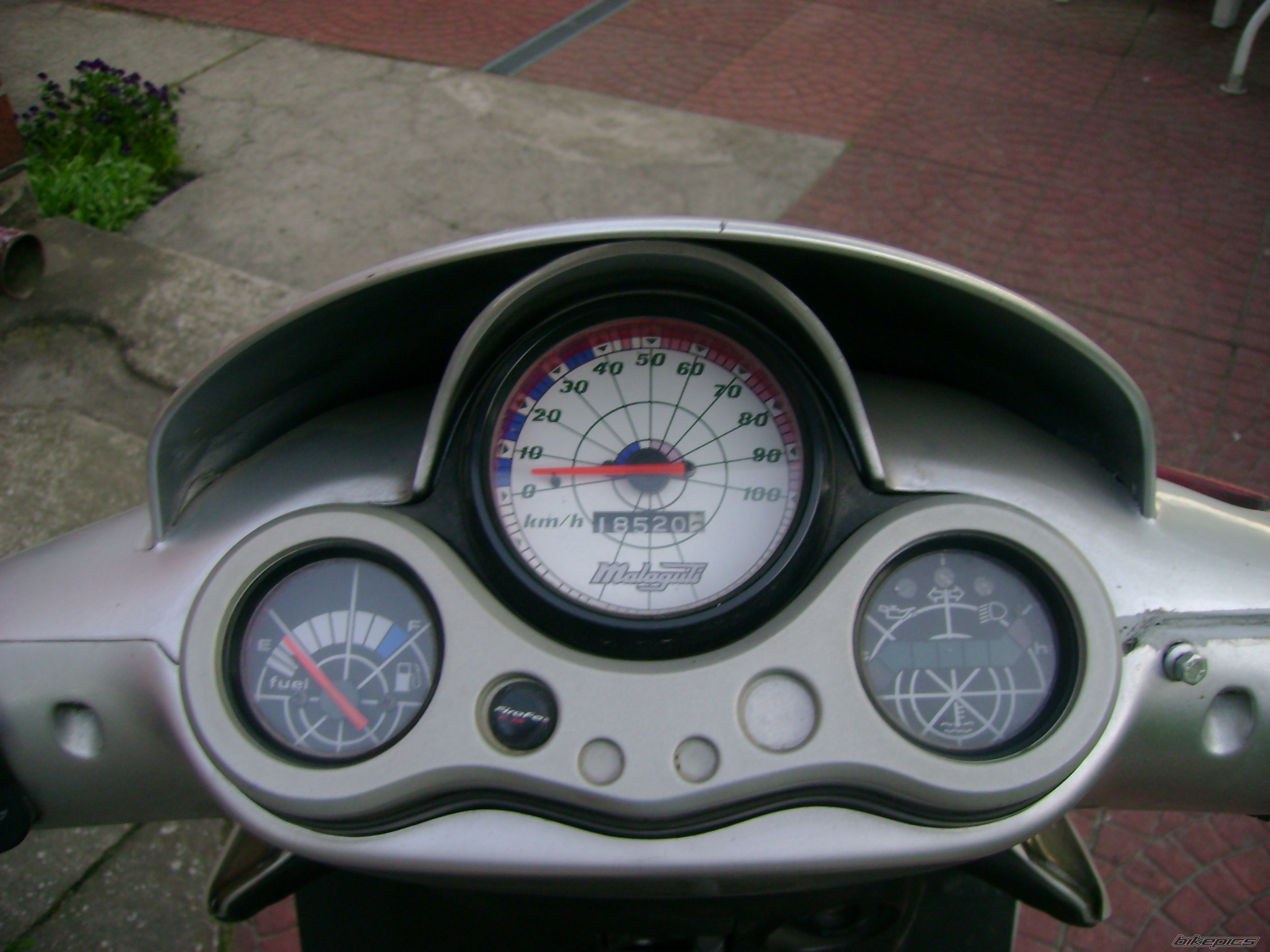 Photo 1306737