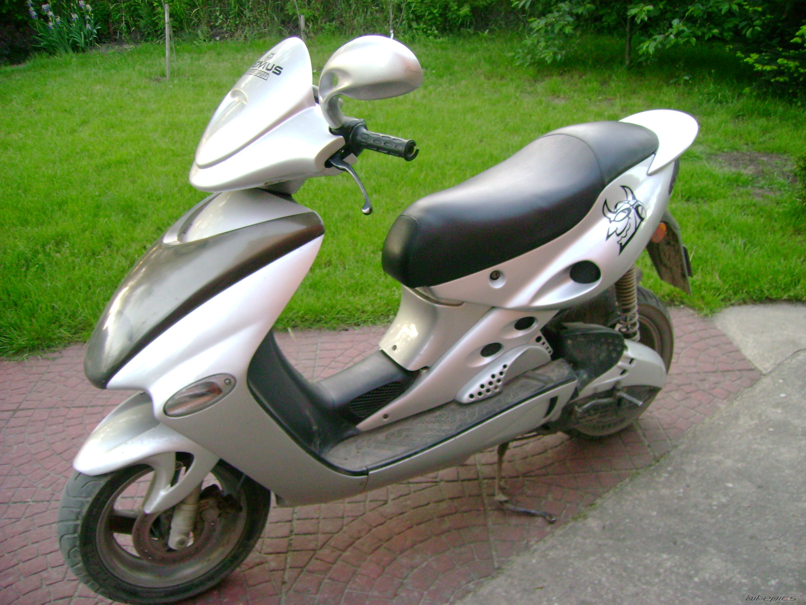 Photo 1306742