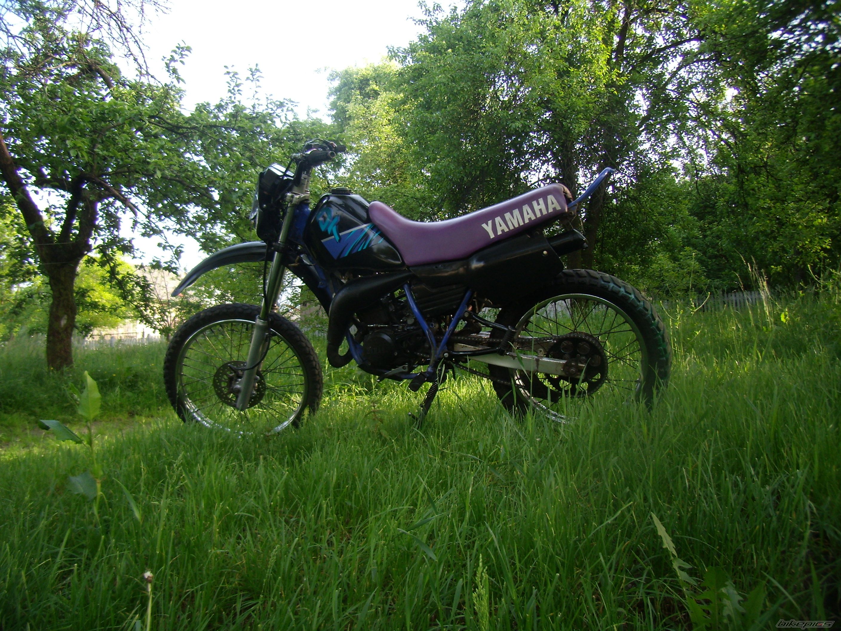 Photo 1306877