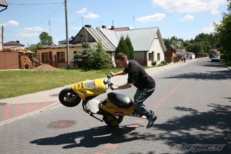 Photo 1306958