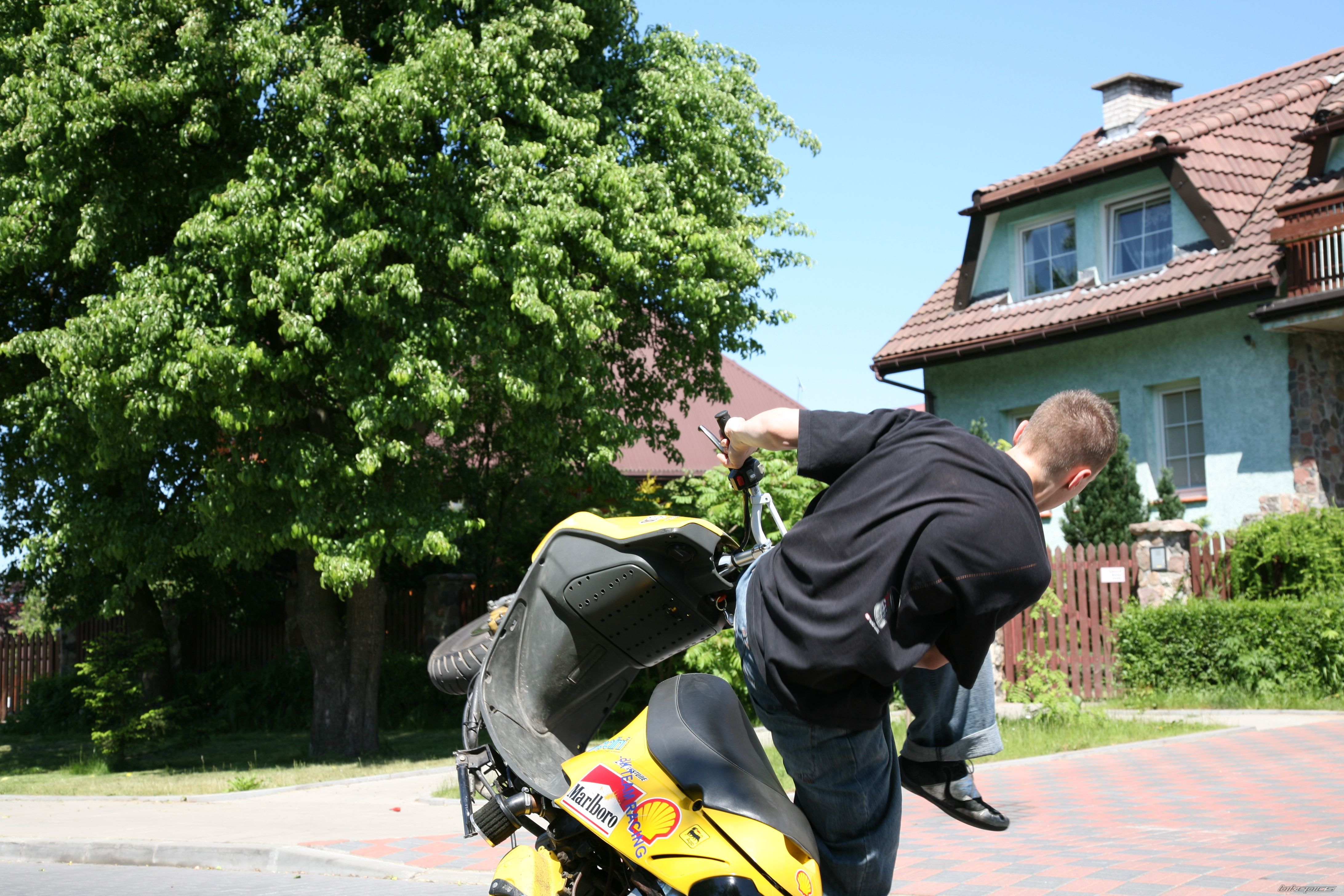 Photo 1306969