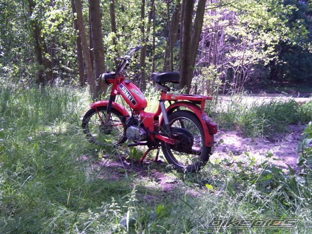 Photo 1306973