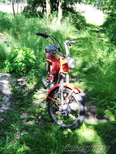 Photo 1306976