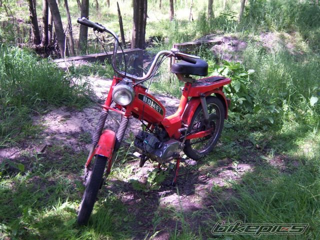 Photo 1306977