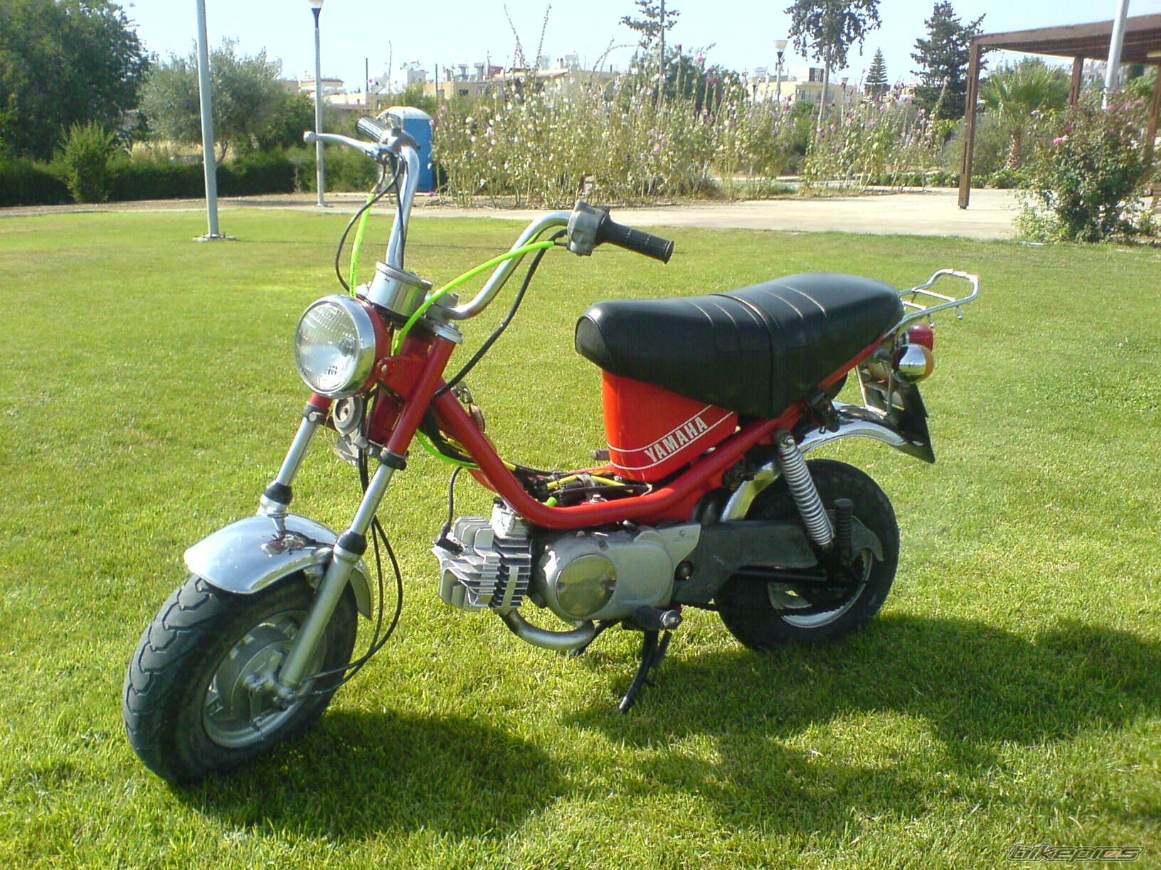 Bike Photo 1307082