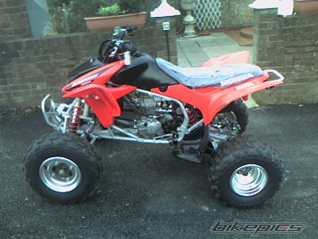 Photo 1307133