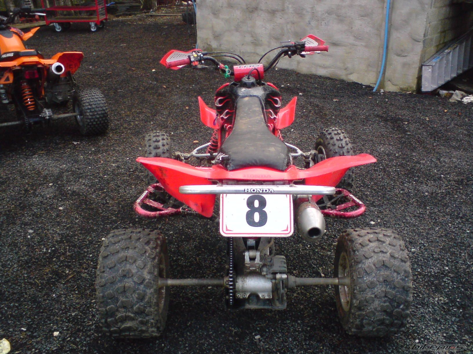 Photo 1307139