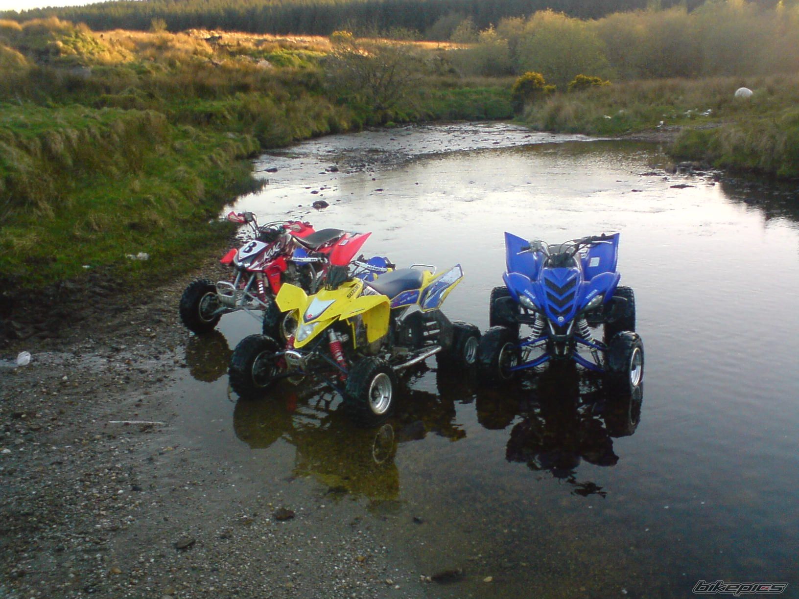 Photo 1307146