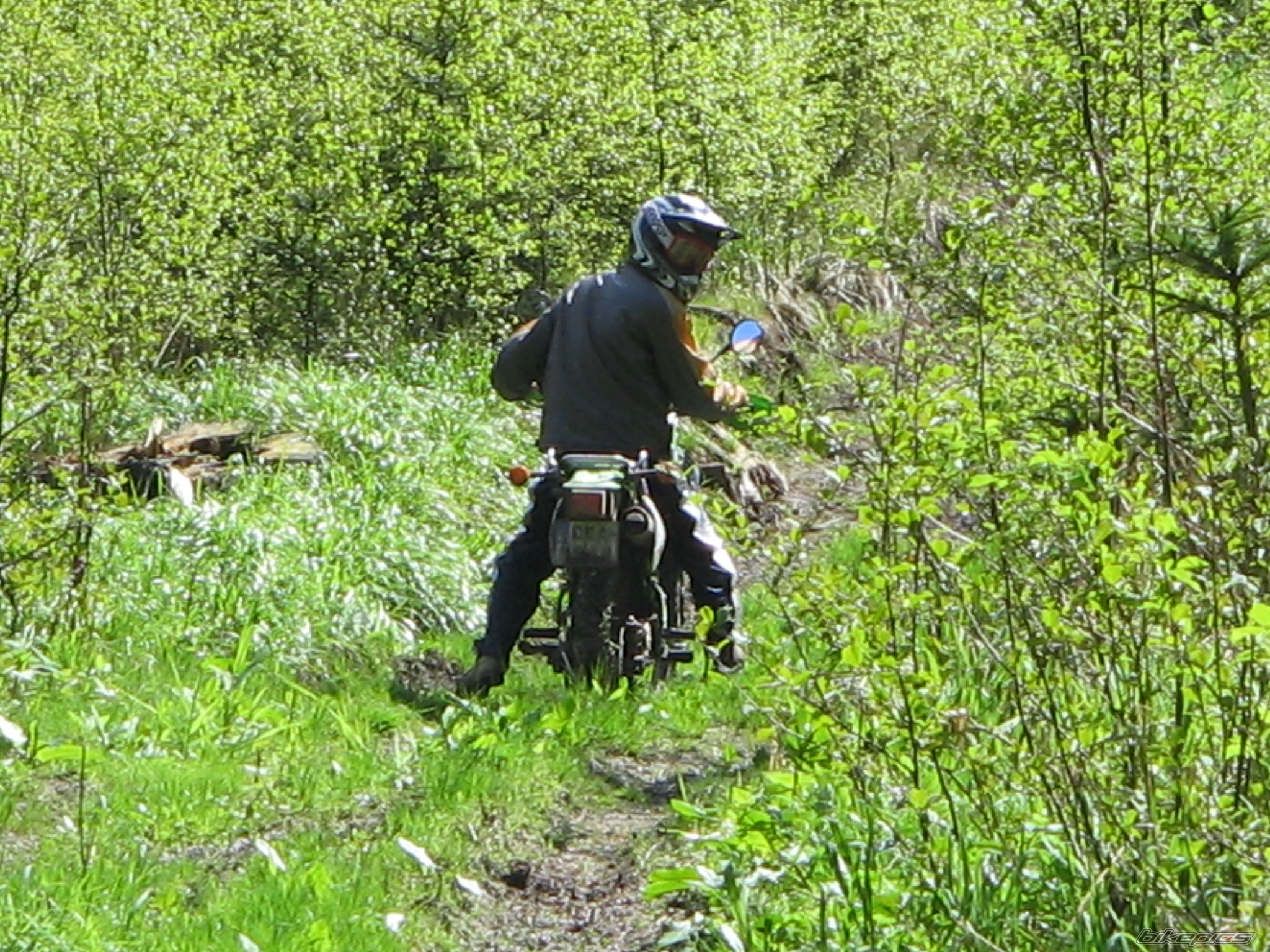 Bike Photo 1307185