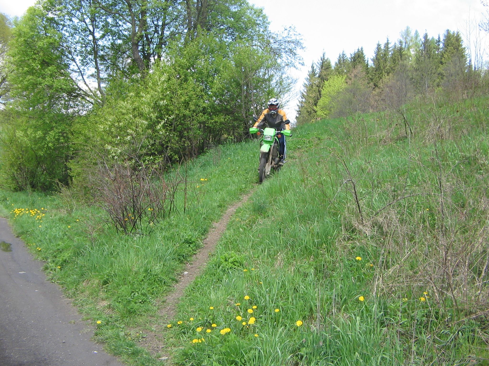 Bike Photo 1307189