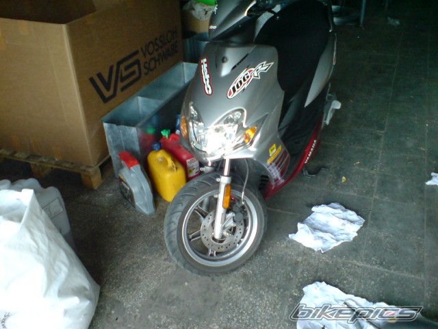 Photo 1307219