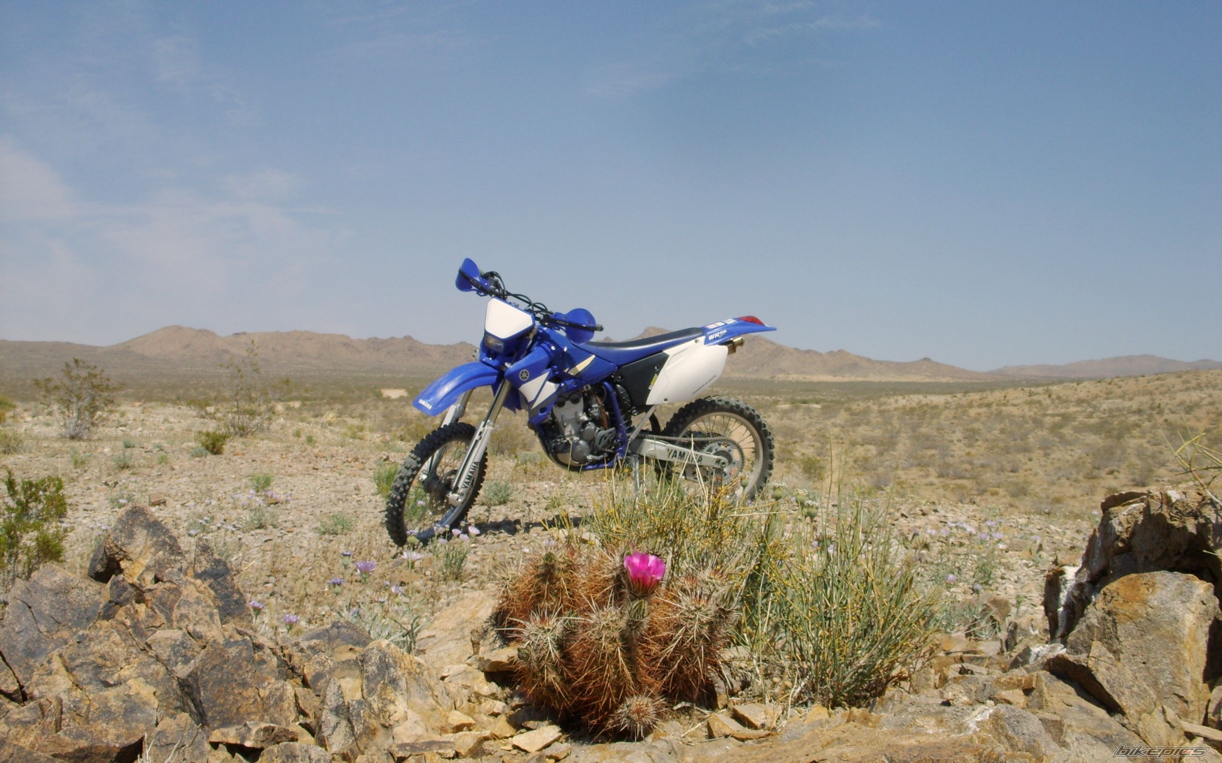 Bike Photo 1307305