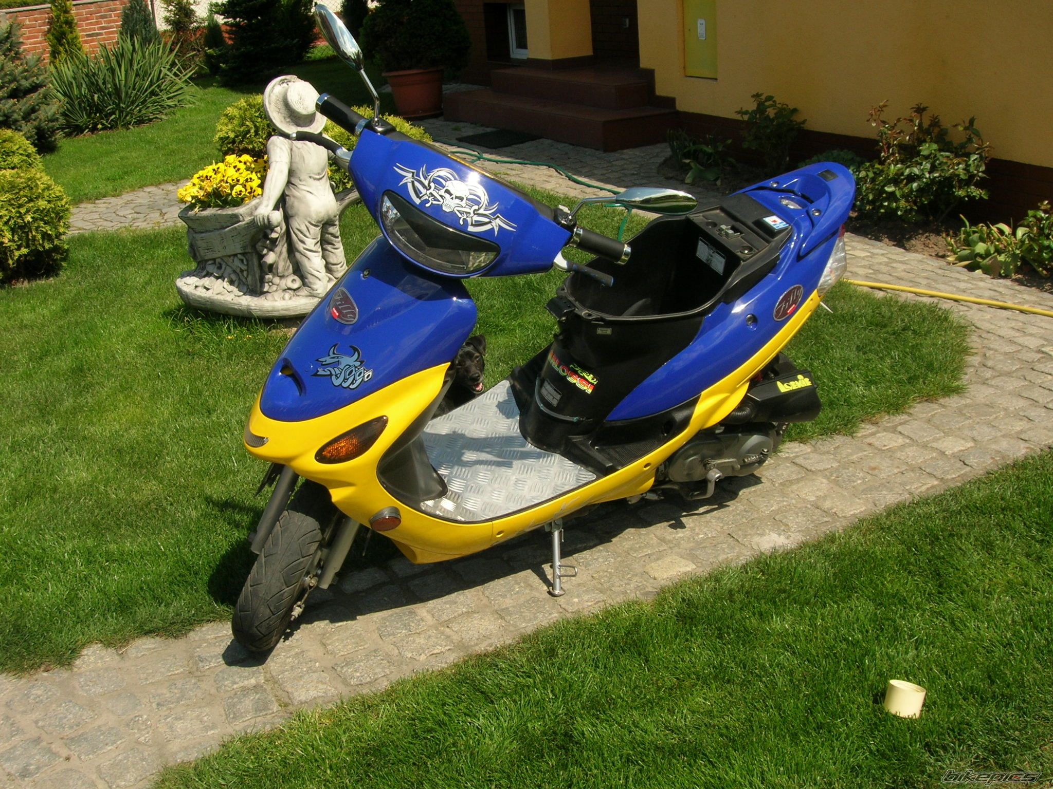 Photo 1307409