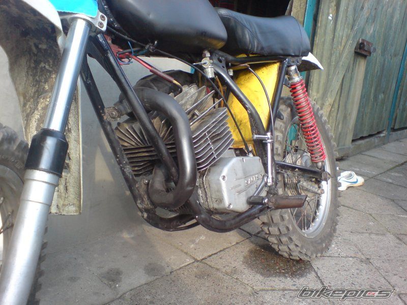 Photo 1307420
