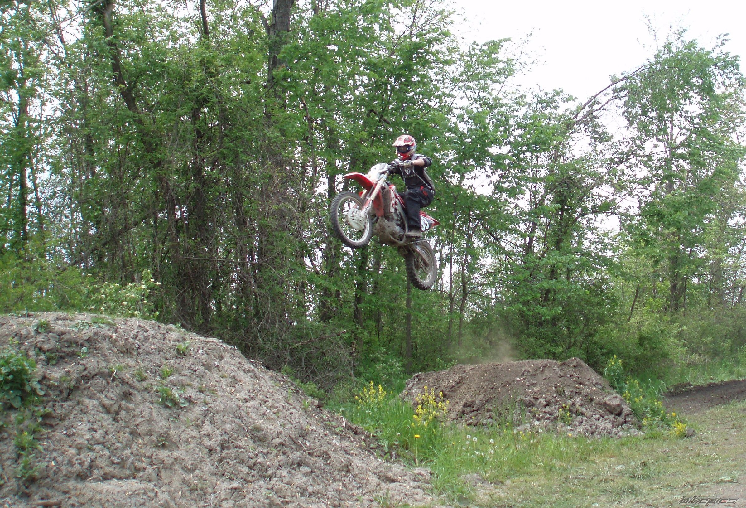 Photo 1307424