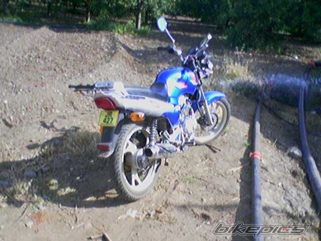 Photo 1307441