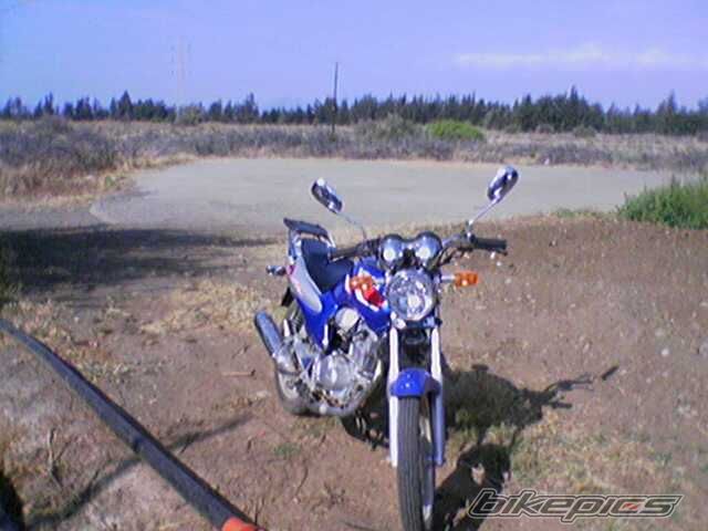 Photo 1307444