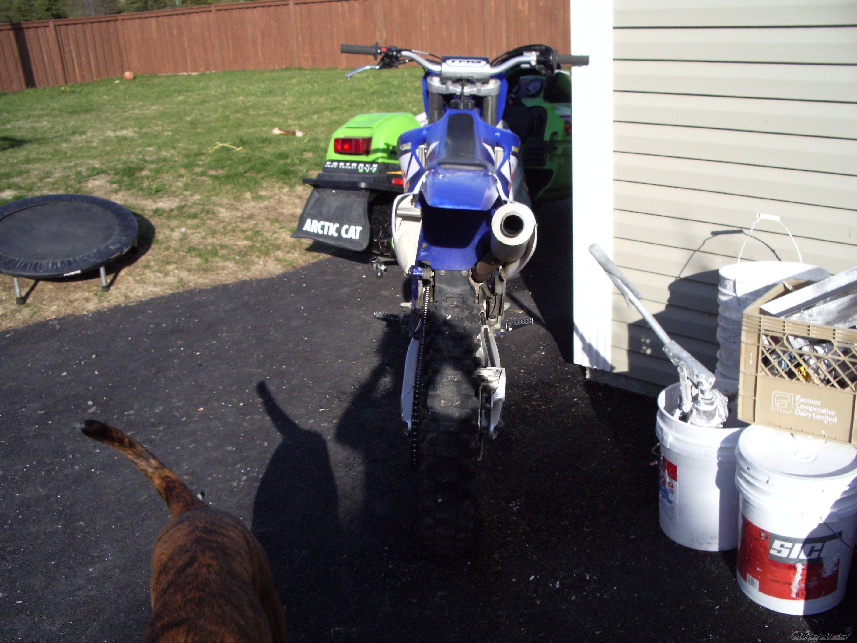 Photo 1307464