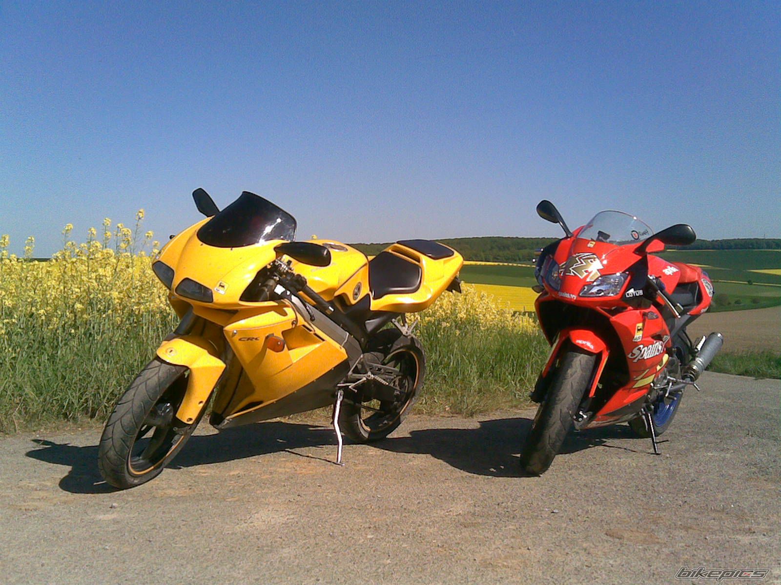 Photo 1307512