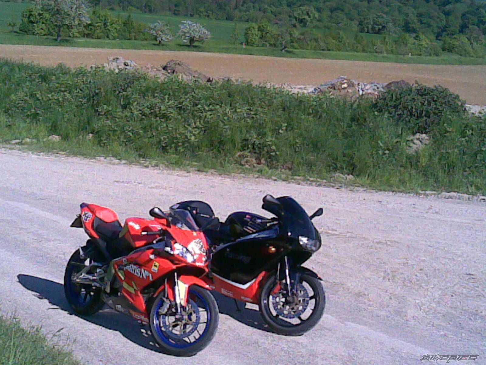 Photo 1307522