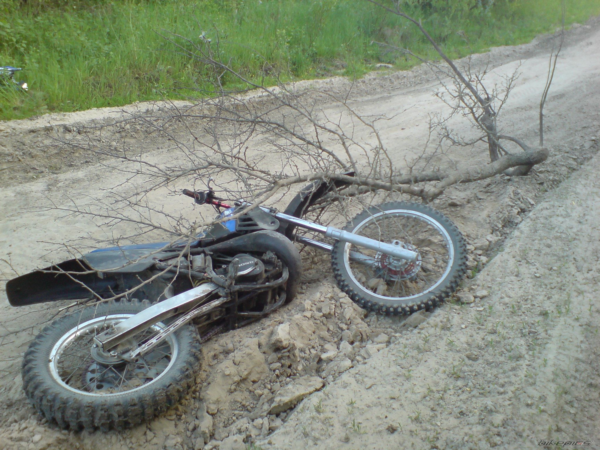 Photo 1307542