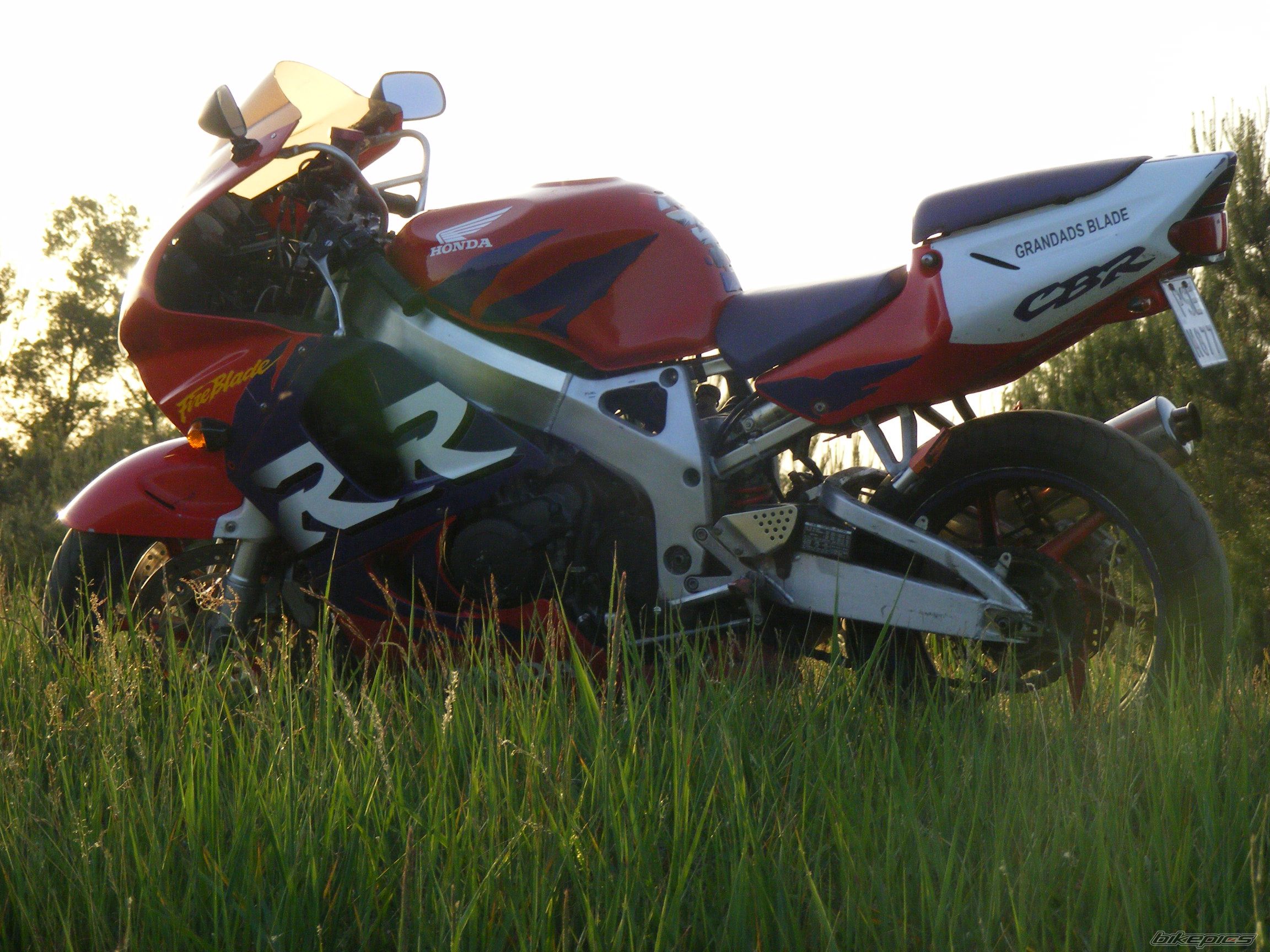 Photo 1307545