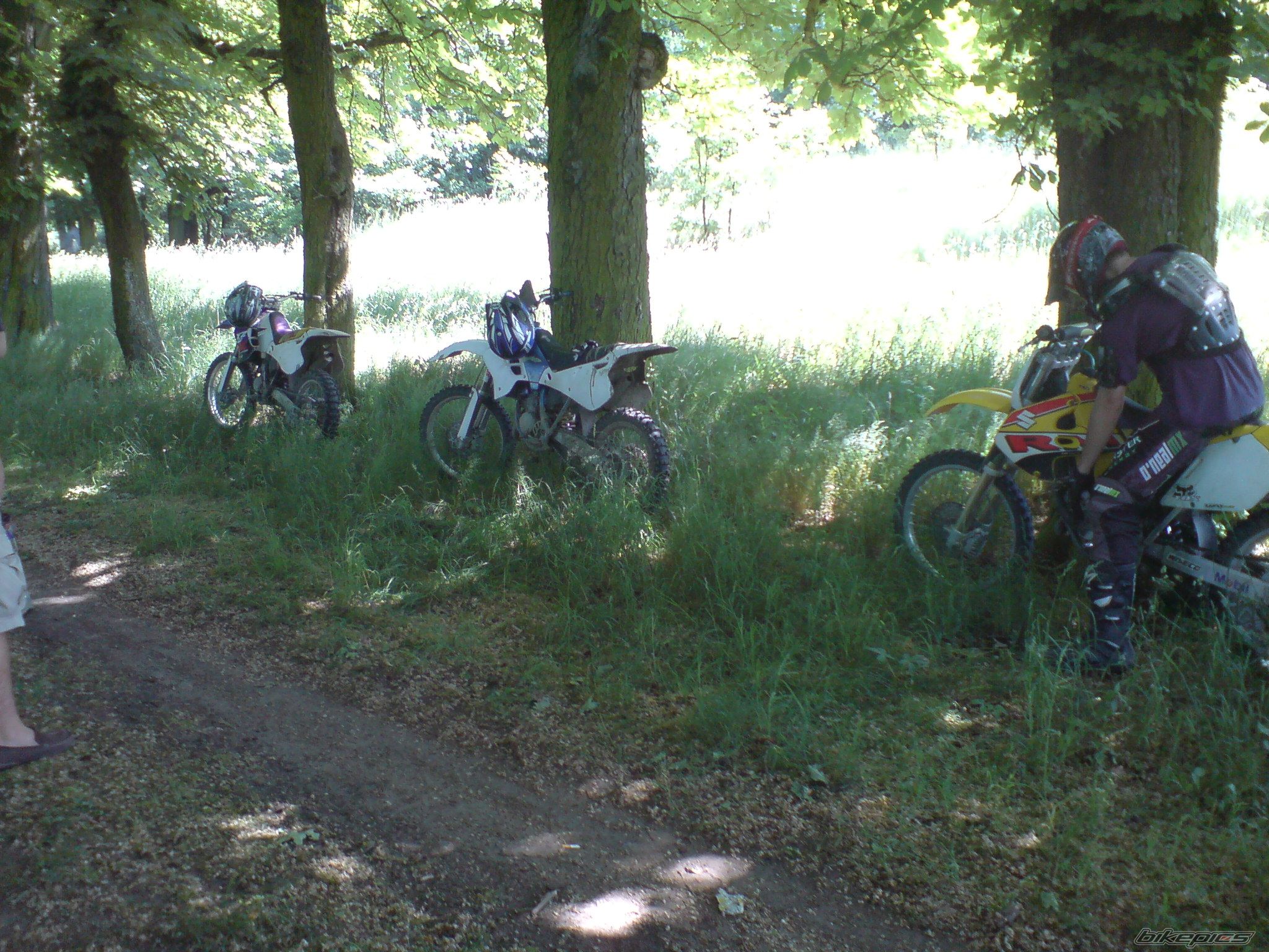 Photo 1307546