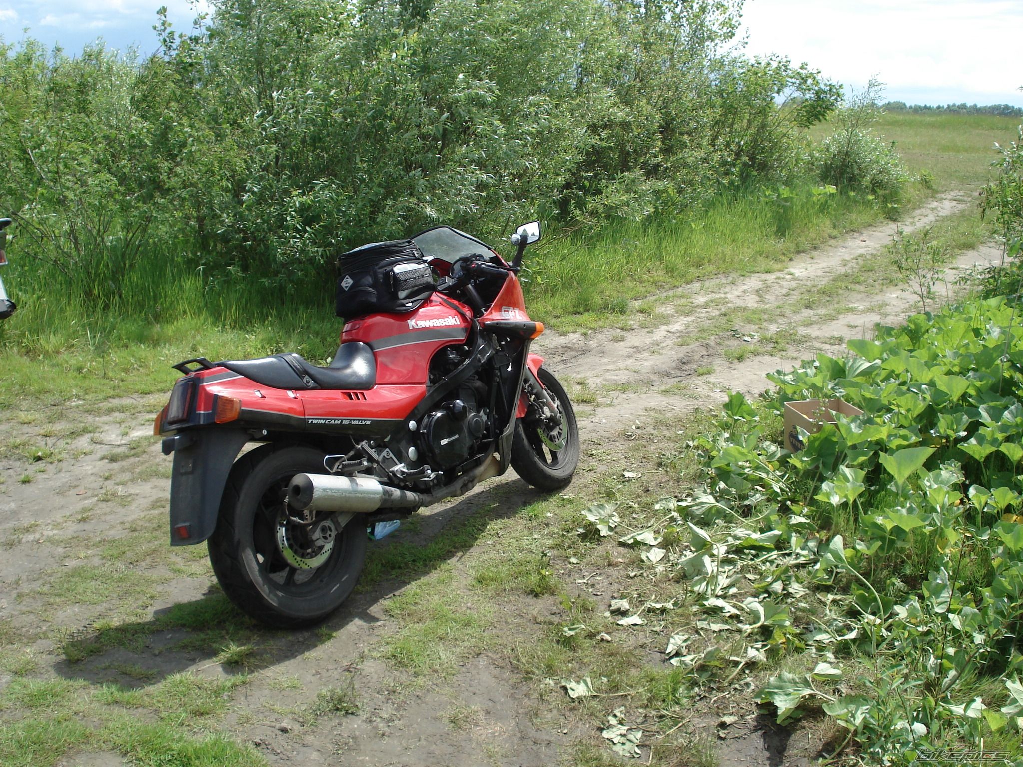 Photo 1307557