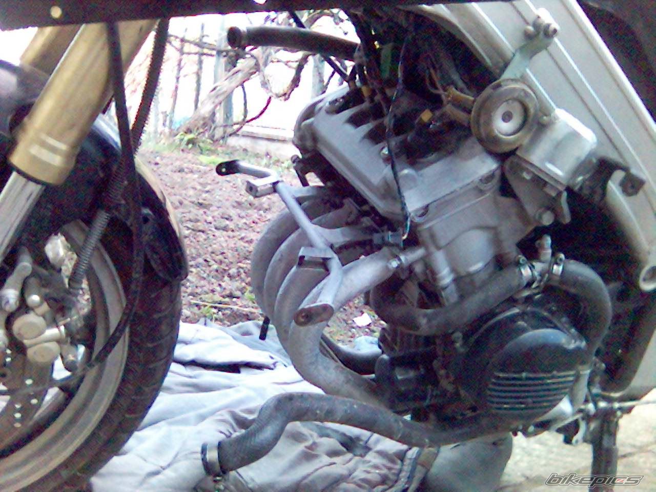 Bike Photo 1307580