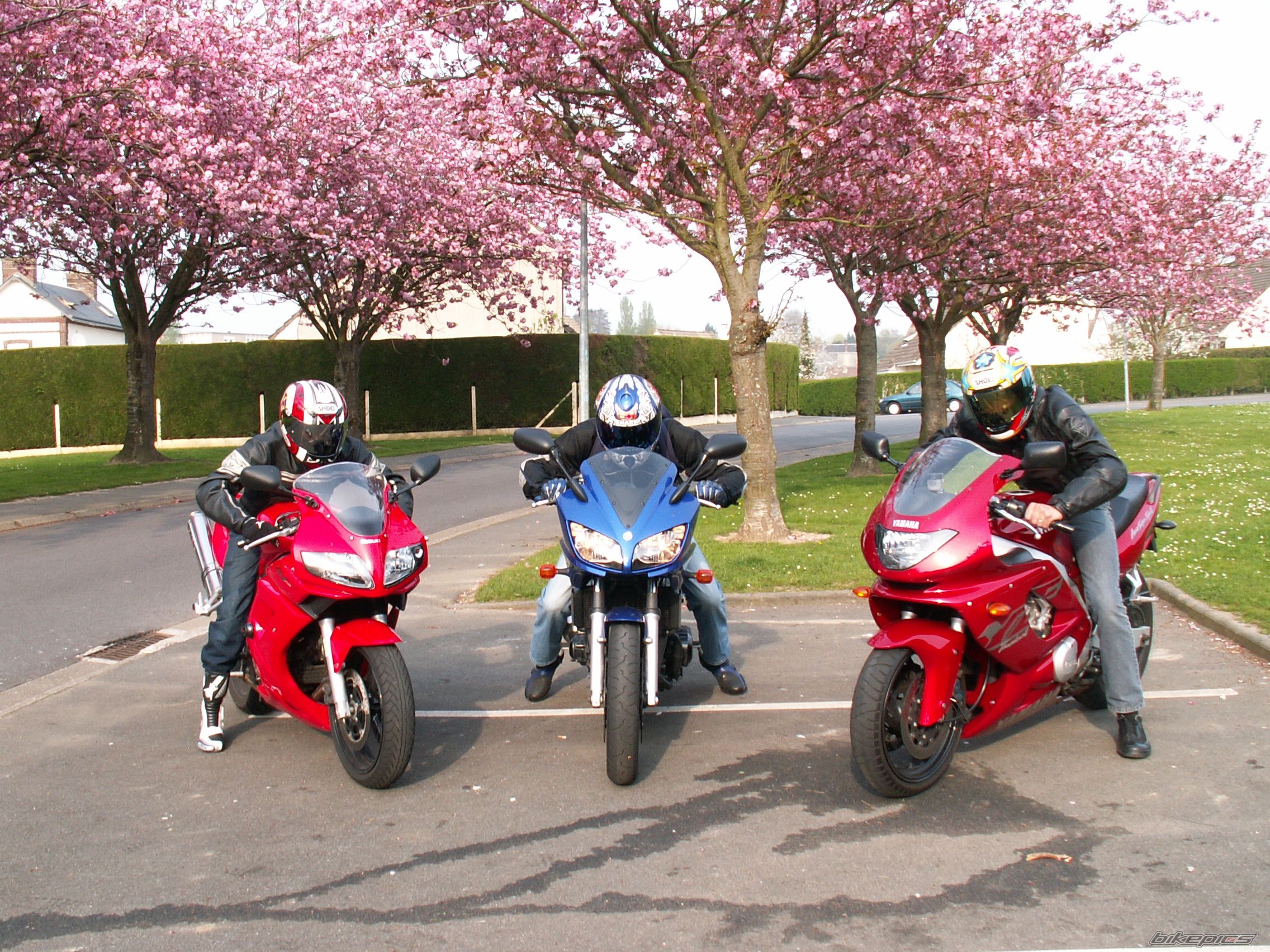 Bike Photo 1307638
