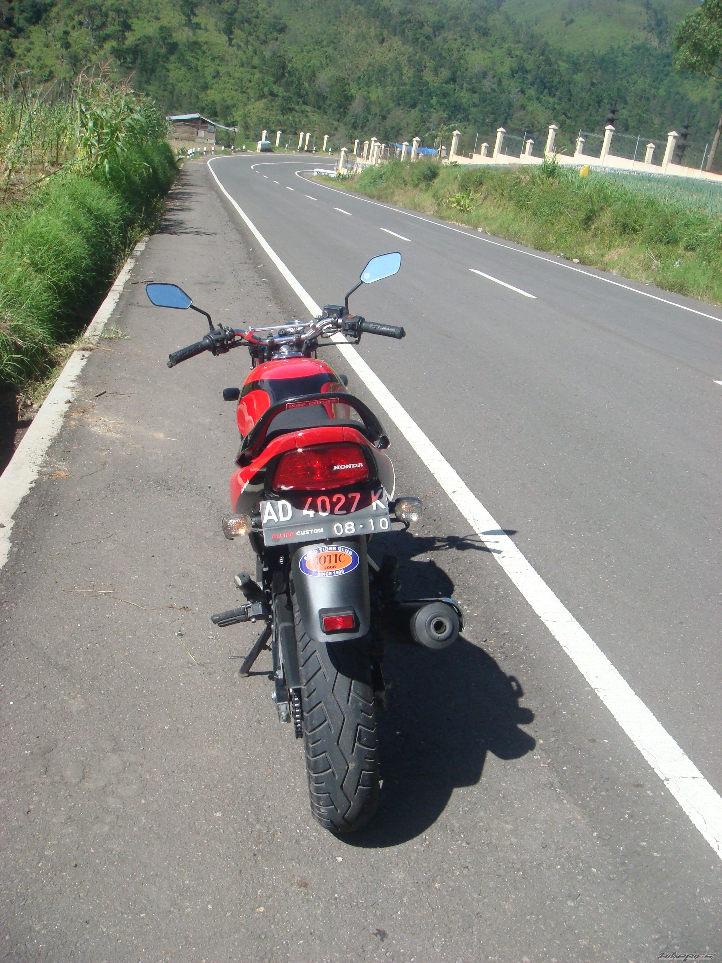 Photo 1307640
