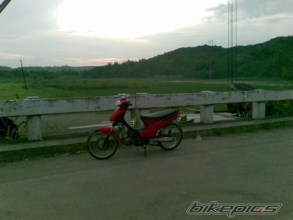 Photo 1307663