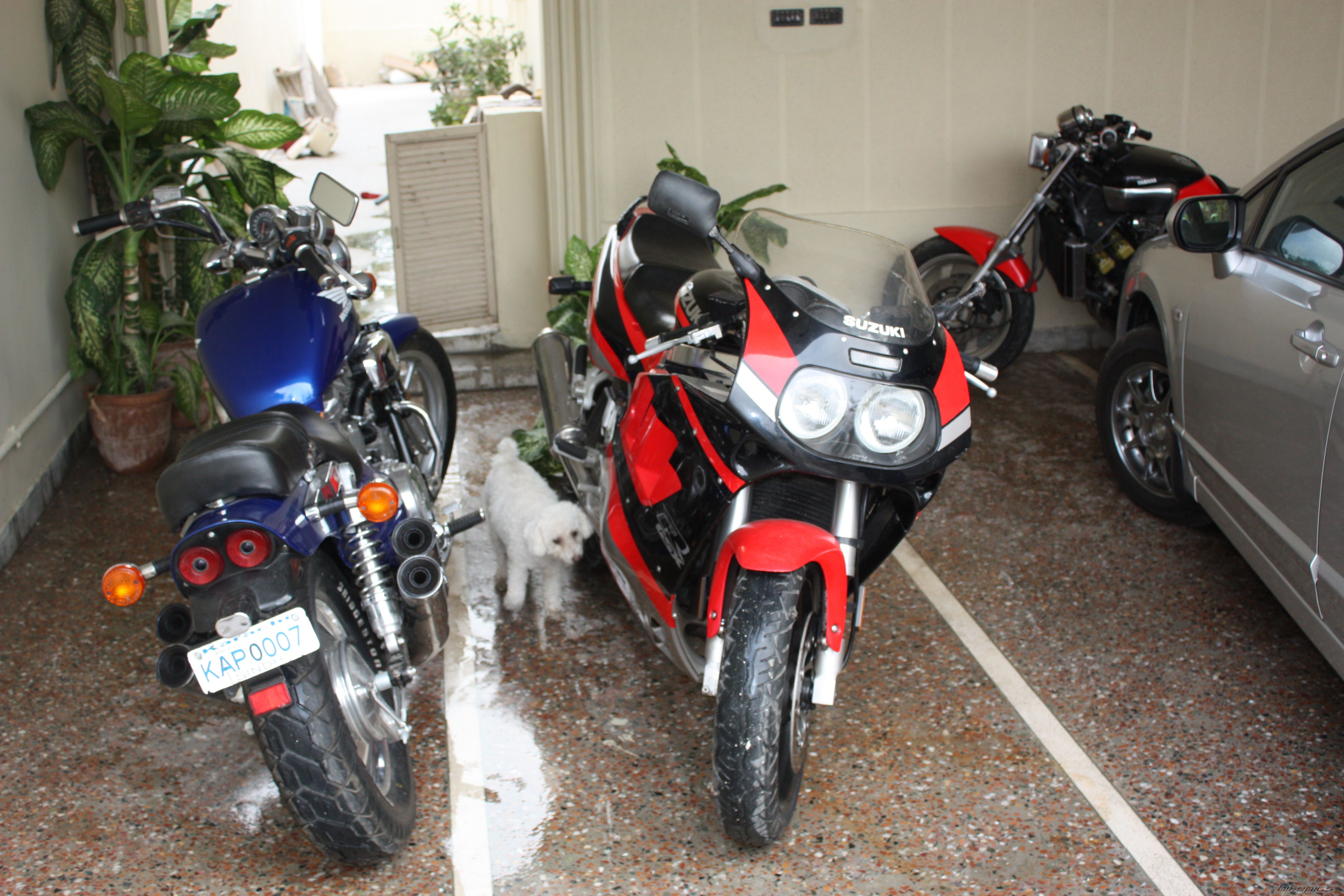 Bike Photo 1307826