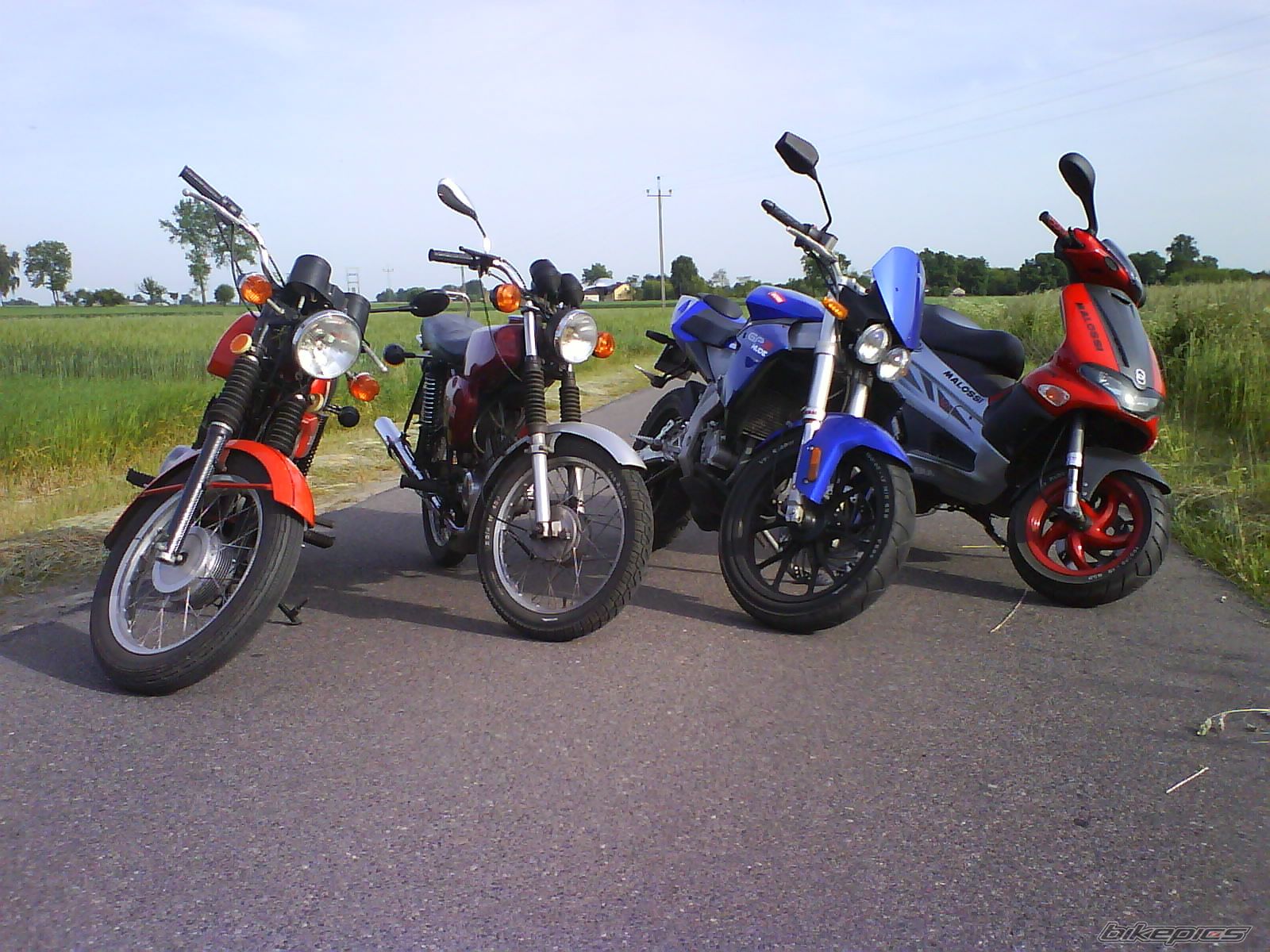 Photo 1307857
