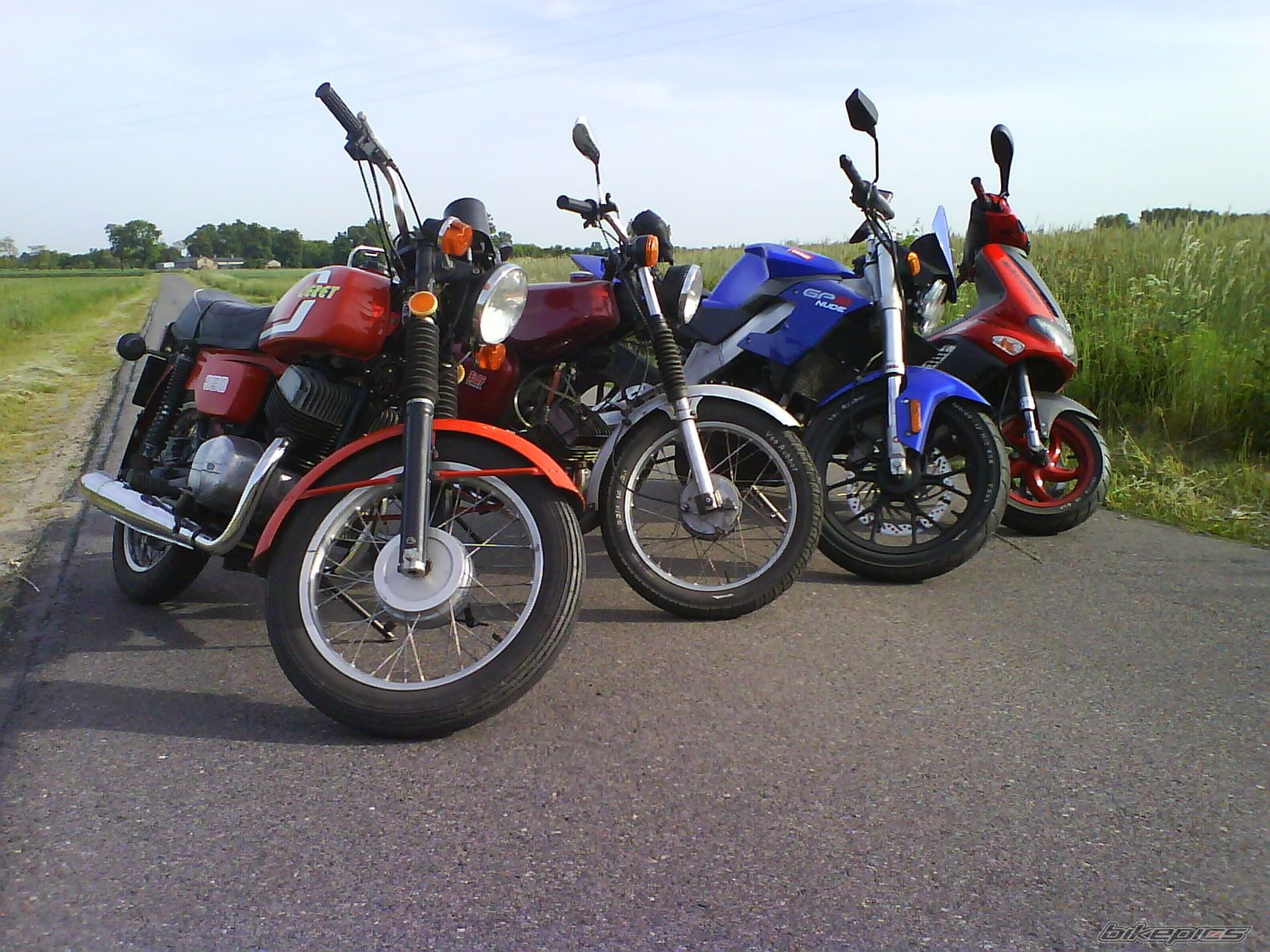 Photo 1307858