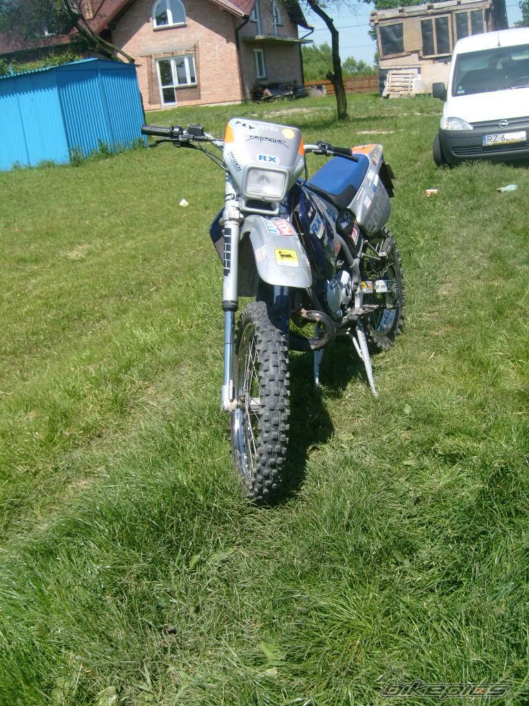 Photo 1307868