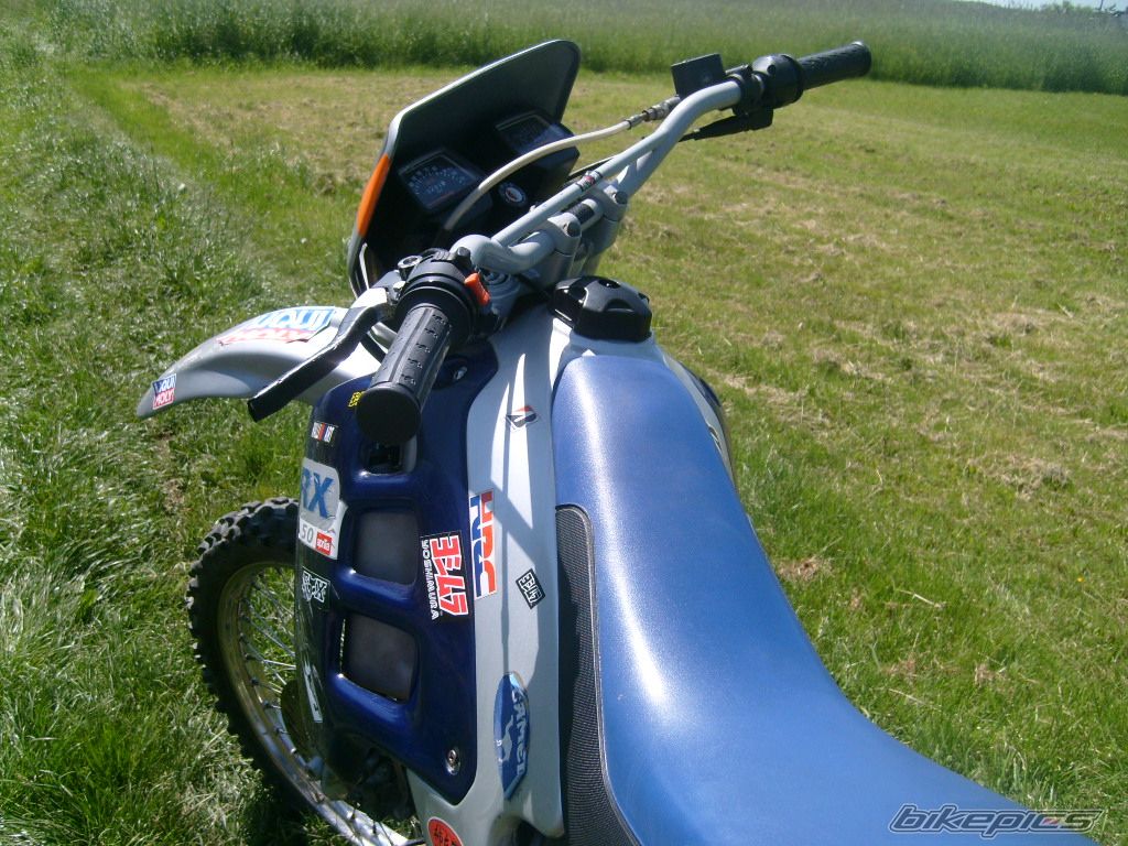 Photo 1307870