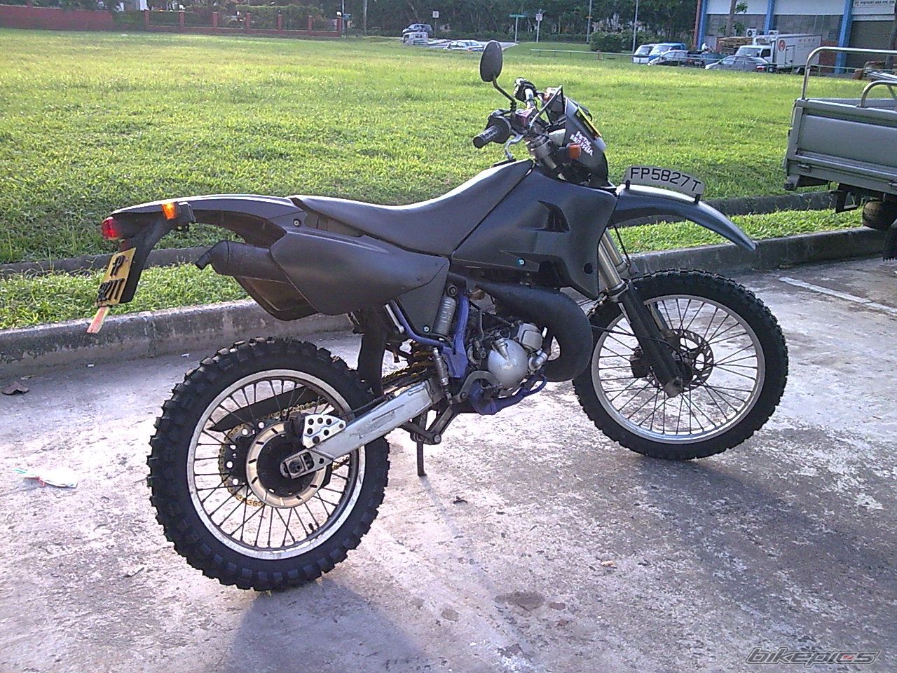 Photo 1307901