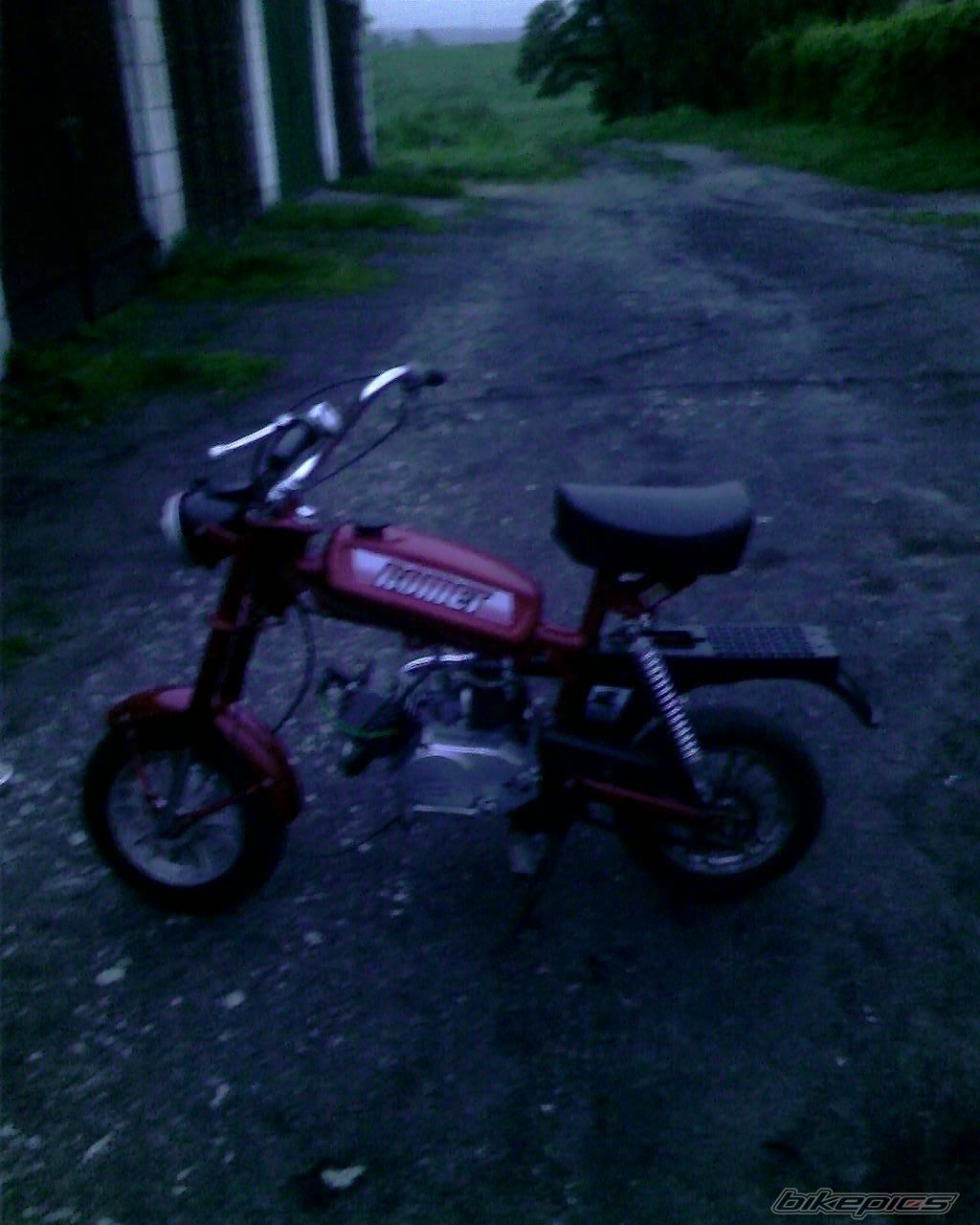 Photo 1307967