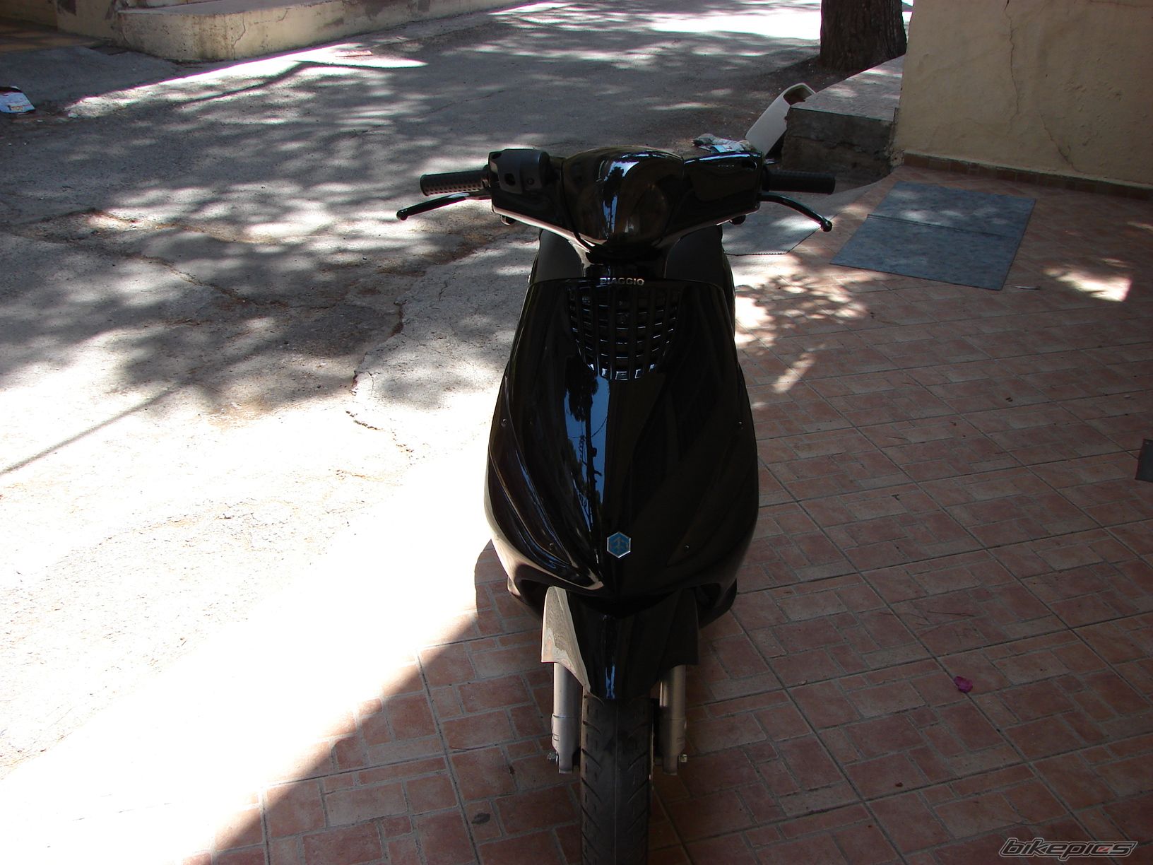 Photo 1307989
