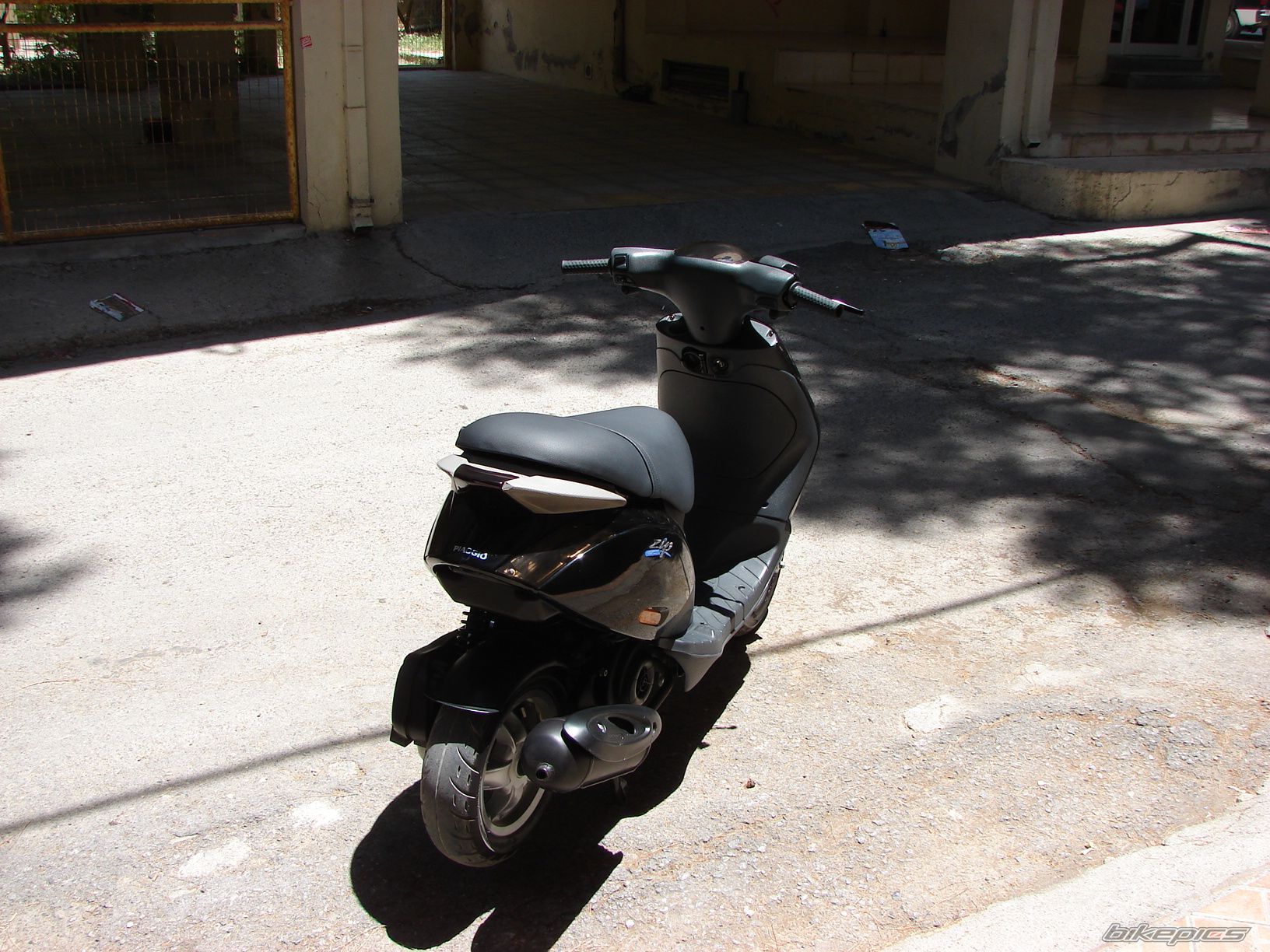 Photo 1307994