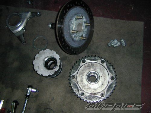 Photo 1308011