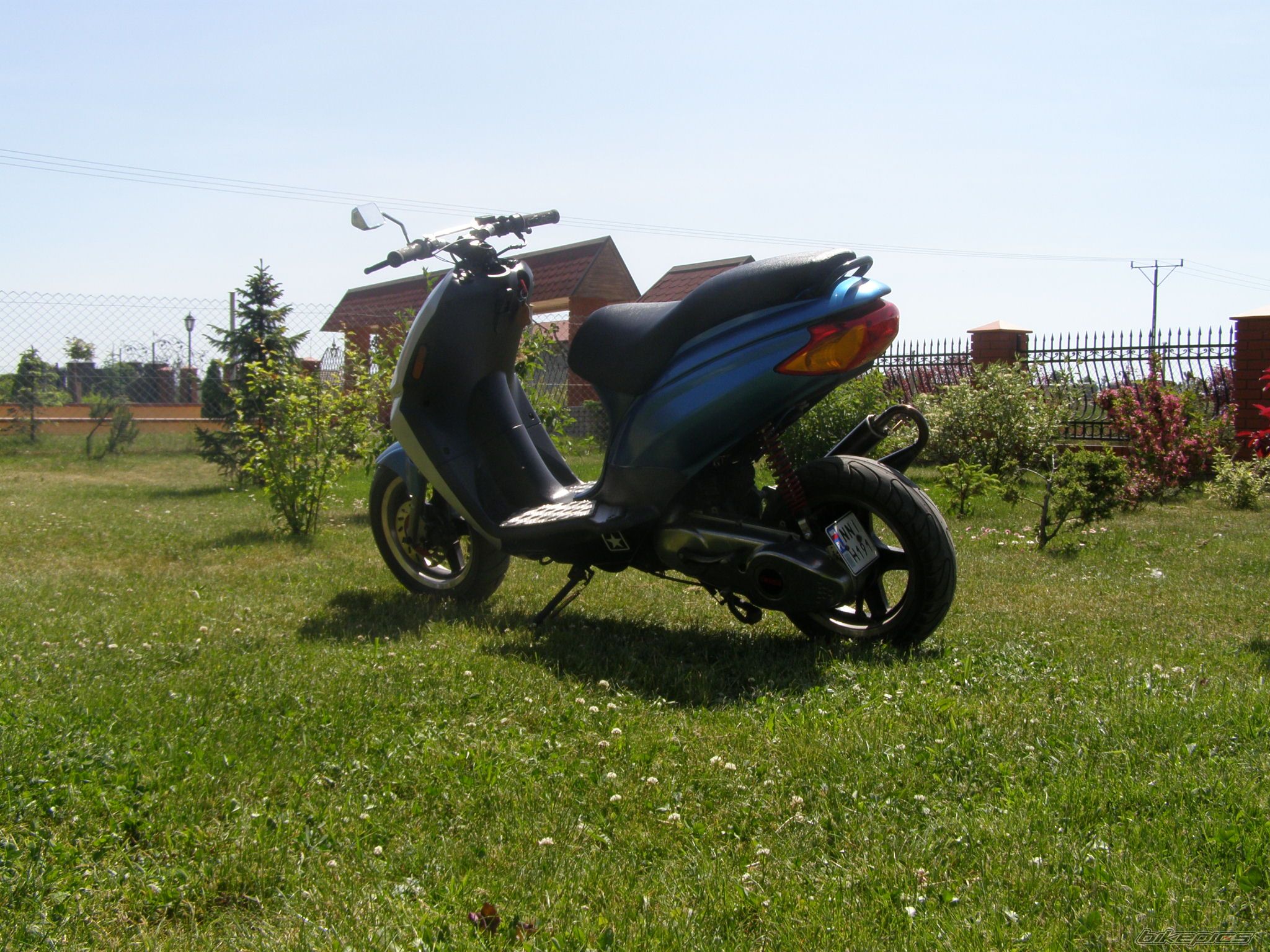Photo 1308076