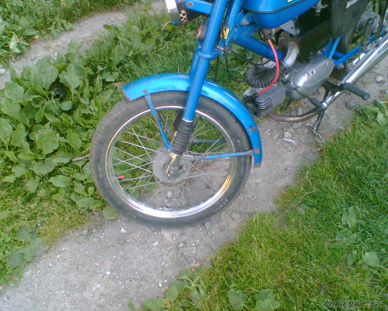 Photo 1308196