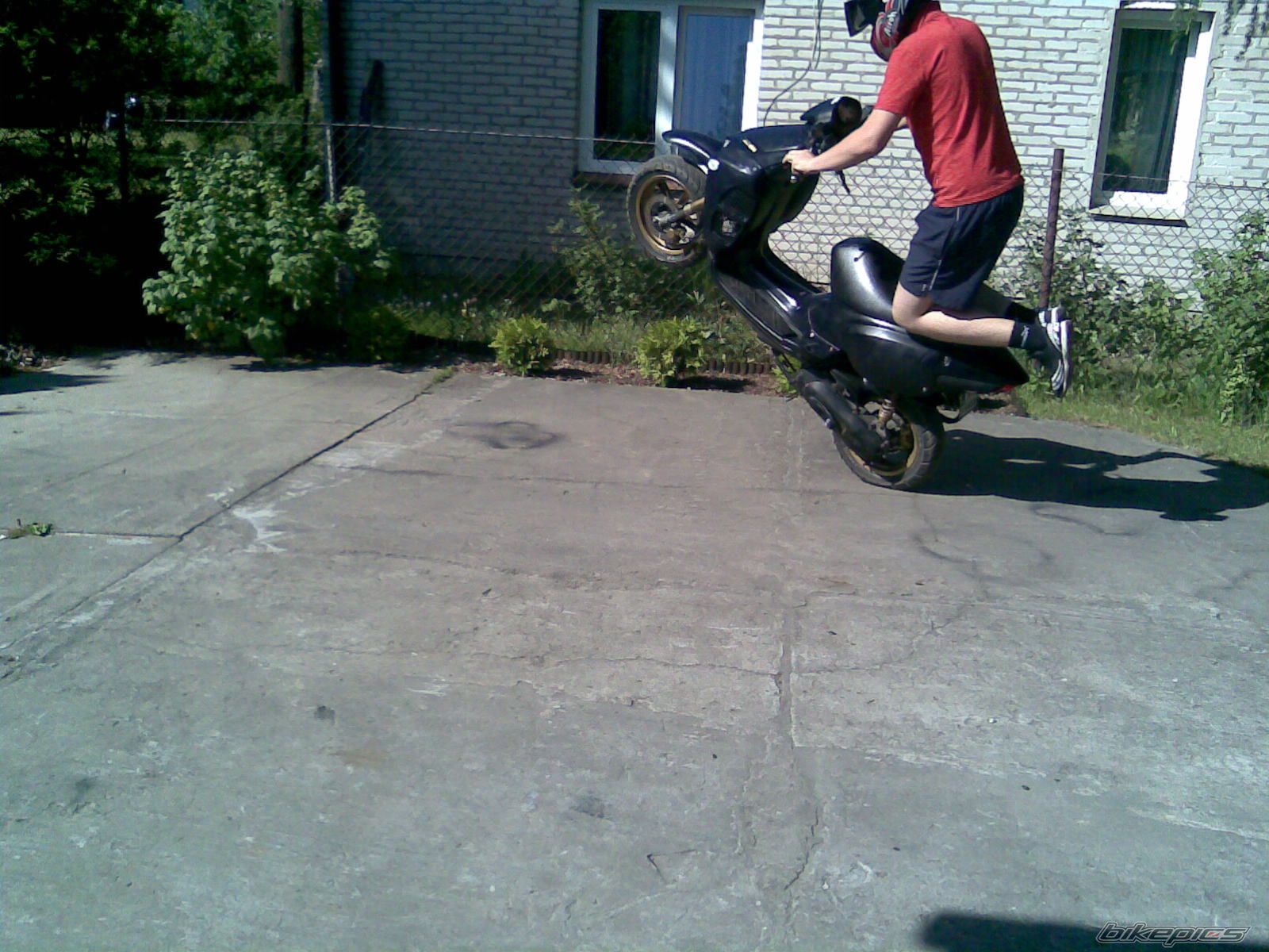 Photo 1308213